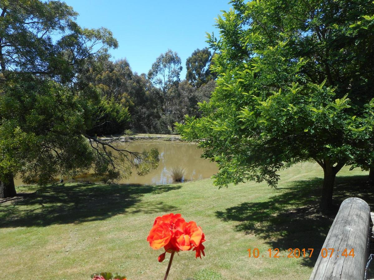 Wurrung B & B - The Cottage Woodend Dış mekan fotoğraf